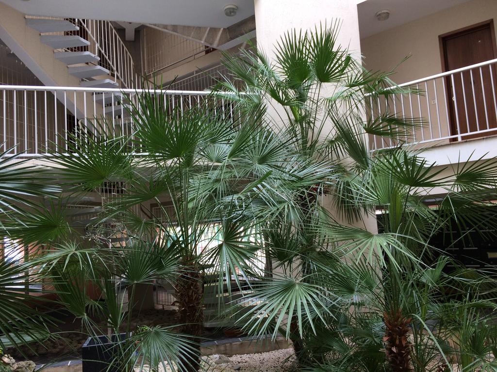 Tu Casa Parking Fibre Optique Netflix Apartment Saint-Raphael  Luaran gambar